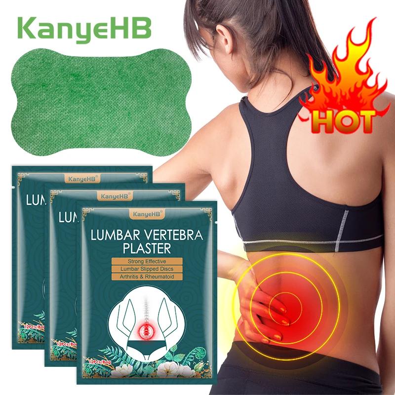 Herbal Zone - 60/6 PCS Lumbar Pain Patch Wormwood
