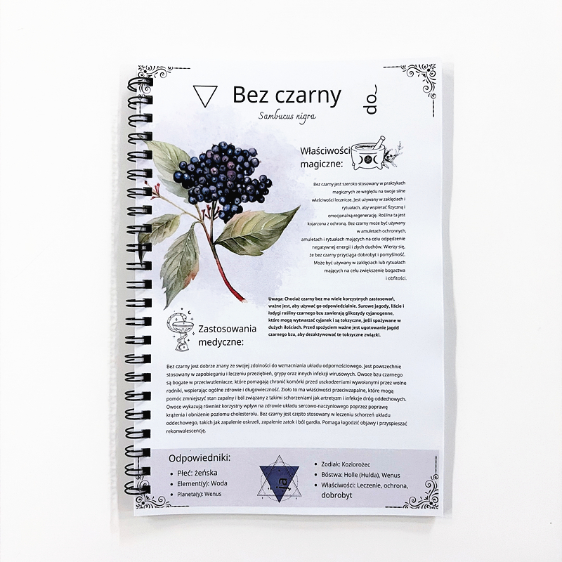 The Lost Book of Herbal Remedi - đánh giá và giá Herbal Wellness For You