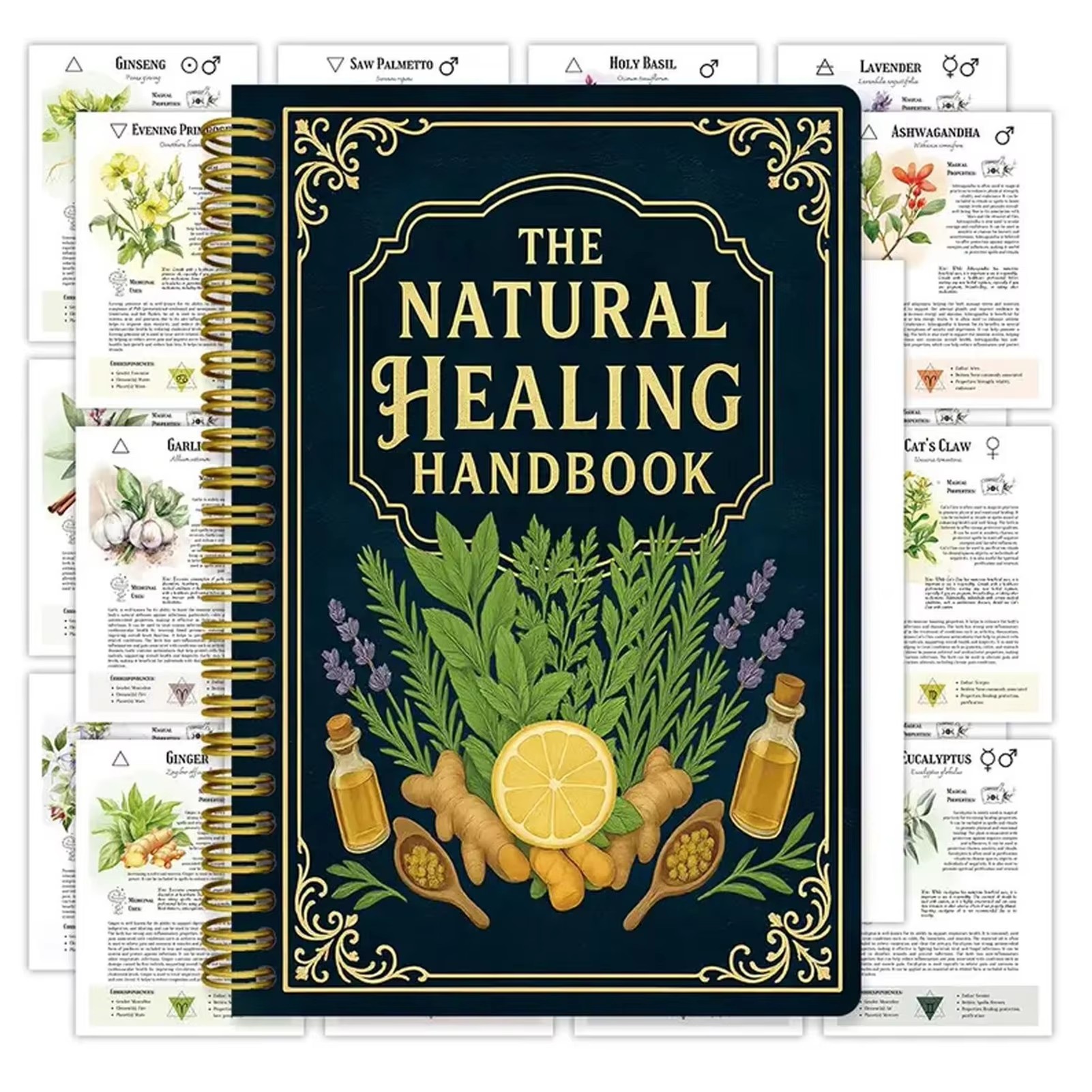 Healing Handbook By Luna Filby - đánh giá và giá Healing Wellness